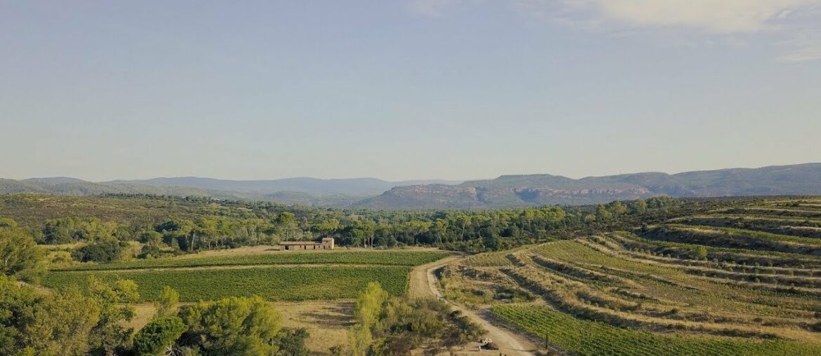 Joli Vin ~ Château De La Cômbe