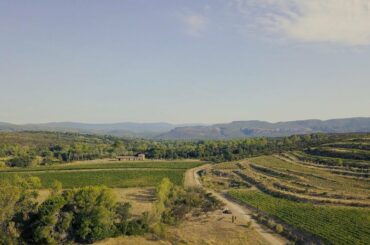 Joli Vin ~ Château De La Cômbe