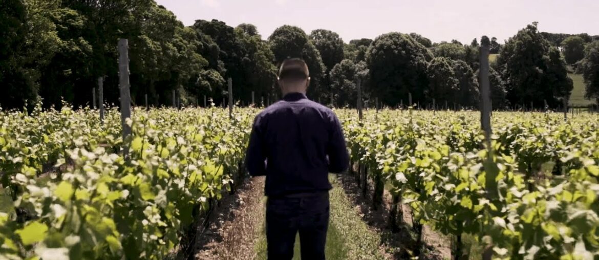 A sommelier's perfect day of viniculture | Gaggenau A sommelier's perfect day of viniculture | Gaggenau