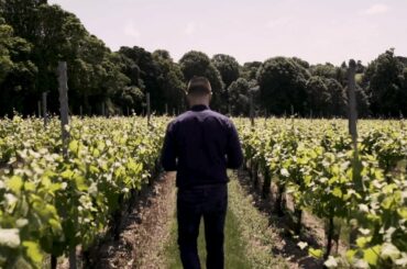 A sommelier's perfect day of viniculture | Gaggenau
