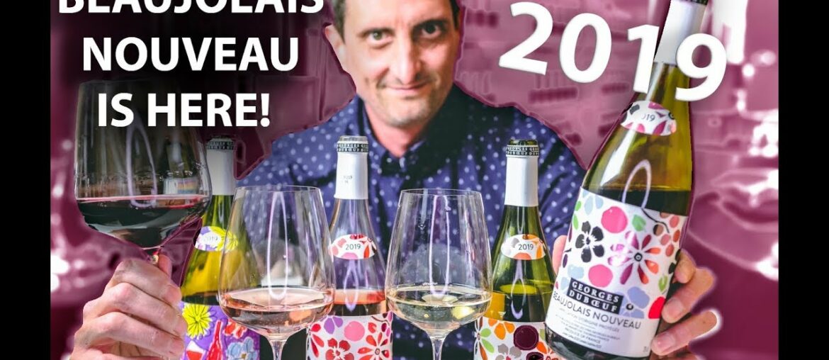 Beaujolais Nouveau 2019! What you NEED to know...