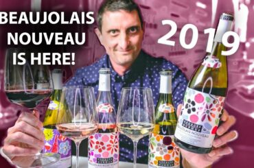 Beaujolais Nouveau 2019! What you NEED to know...