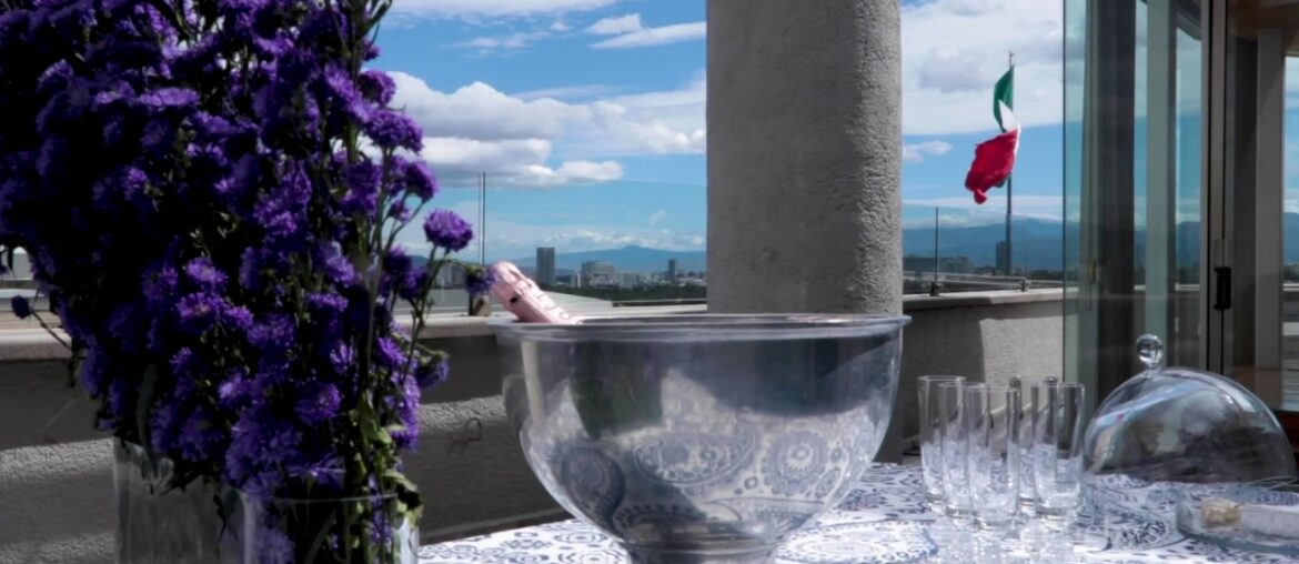 Anatole France / Reforma