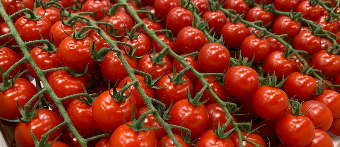 Visit to RUNGIS International Food Market, Paris, France: THE WORLD'S BIGGEST FRESH PRODUCE MARKET