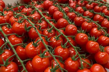 Visit to RUNGIS International Food Market, Paris, France: THE WORLD'S BIGGEST FRESH PRODUCE MARKET