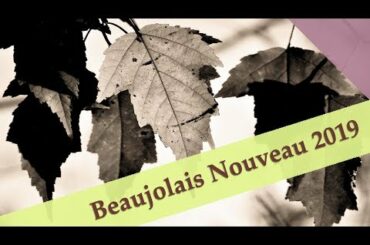 Beaujolais Nouveau 2019:  When?  What?