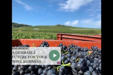 🍷A desirable Future for your wine business