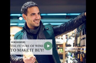 🍷The future of wine: make buy your wine