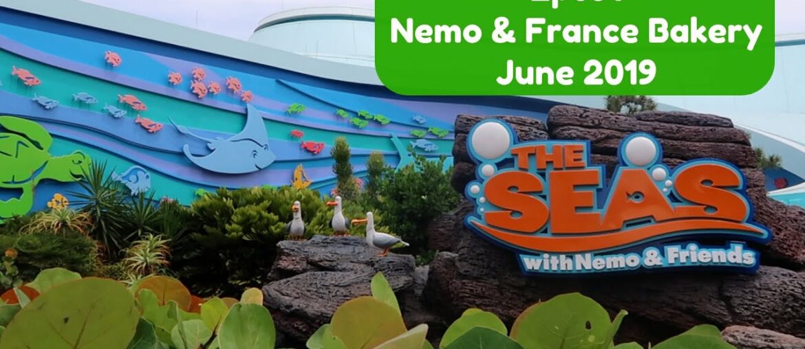 The Seas with Nemo & Friends | France Bakery | Epcot | Walt Disney World | June 2019 The Seas with Nemo & Friends | France Bakery | Epcot | Walt Disney World | June 2019