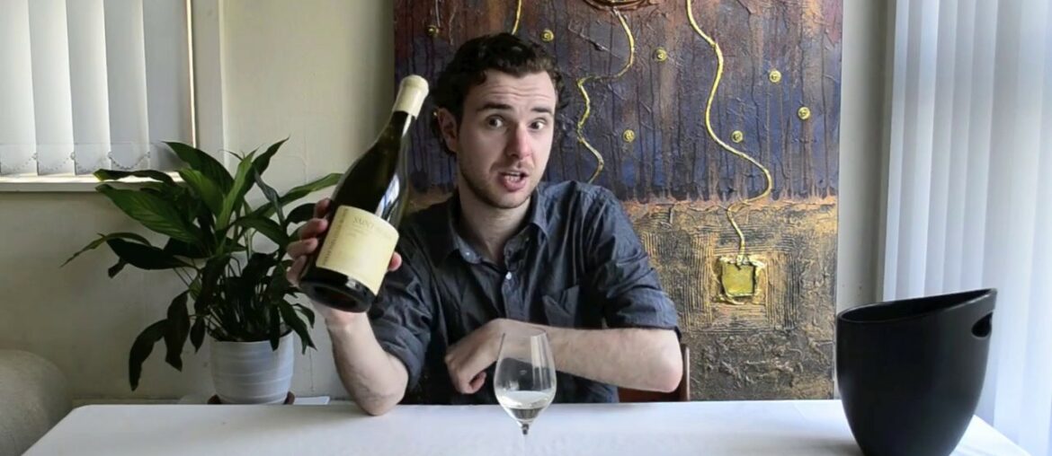 Wine Expert tastes French Wines: Pierre Yves Colin Morey 'La Pucelle' St Aubin Blanc Wine Expert tastes French Wines: Pierre Yves Colin Morey 'La Pucelle' St Aubin Blanc