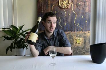 Wine Expert tastes French Wines: Pierre Yves Colin Morey 'La Pucelle' St Aubin Blanc