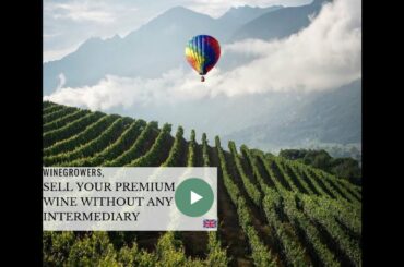 🍷 Sell your premium wine without ANY intermediary