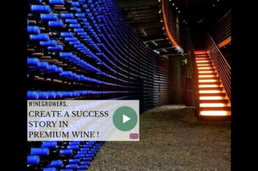 🍷 Create a Success Story in Premium Wine