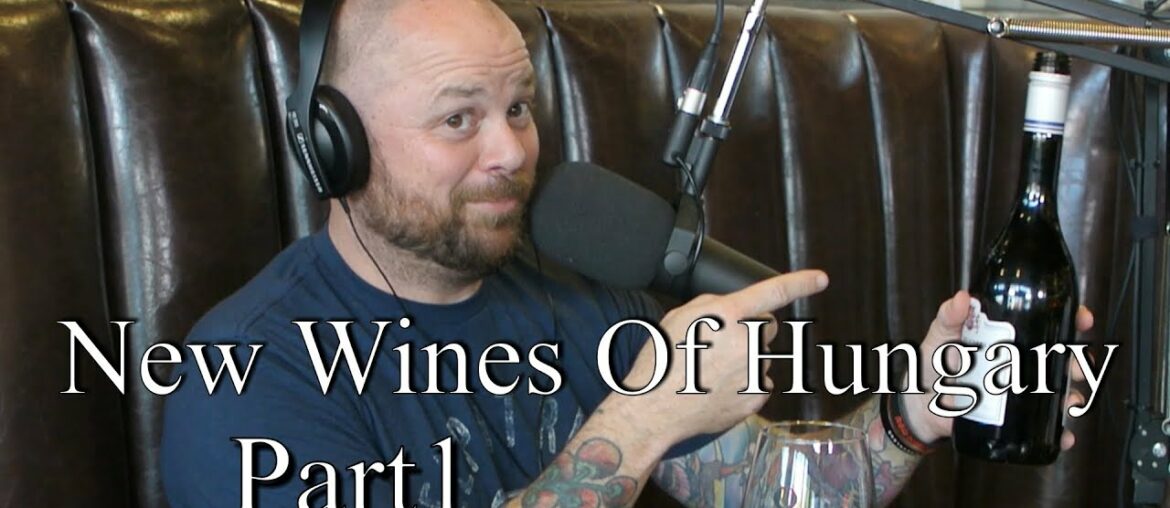 New Wines Of Hungary Part. Tasting and breaking down Hungarian Wine Business