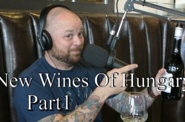 New Wines Of Hungary Part. Tasting and breaking down Hungarian Wine Business