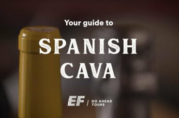 Guide to Spanish Cava Wine | EF Go Ahead Tours