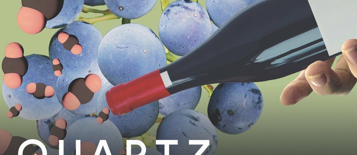 These scientists are simulating climate change to save wine These scientists are simulating climate change to save wine