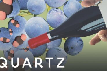 These scientists are simulating climate change to save wine