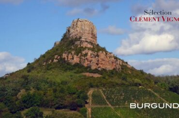 Sélection CLÉMENT VIGNOT - Burgundy