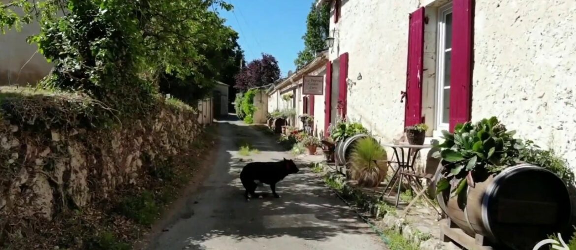 Painting and art holiday in France with Jo