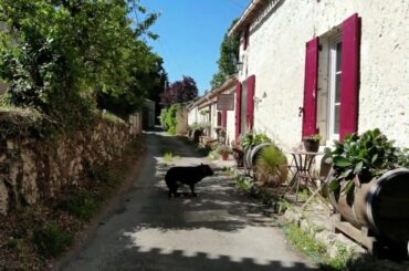 Painting and art holiday in France with Jo