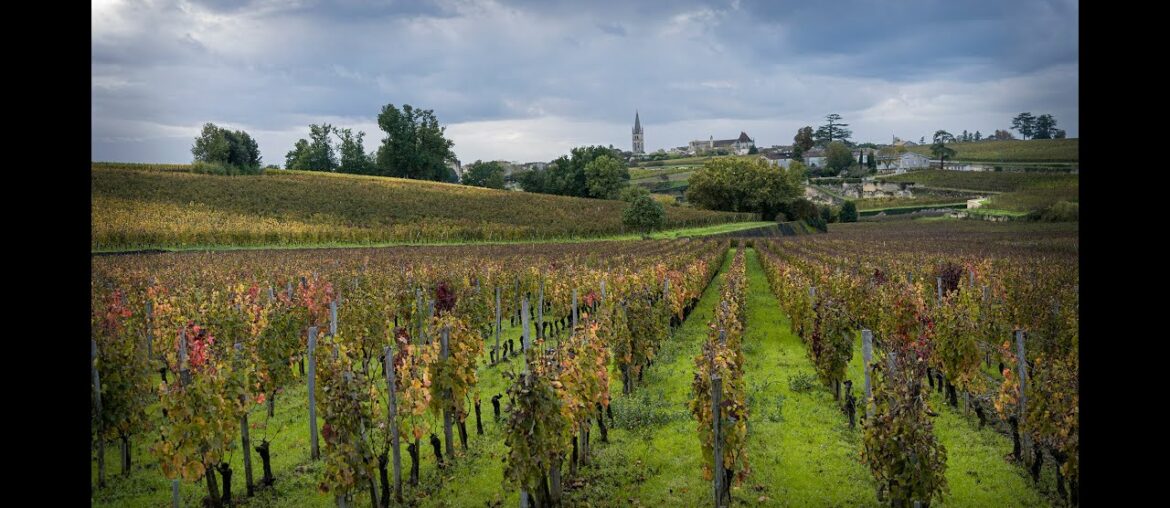 Wine and culinaria tour in Bordeaux, France