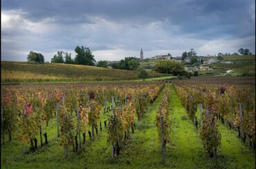 Wine and culinaria tour in Bordeaux, France
