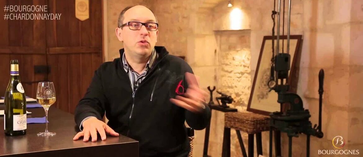 Do you produce Chardonnay wines in Bourgogne?