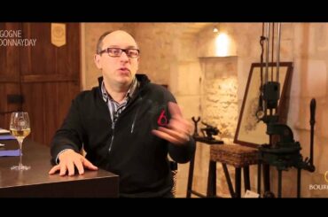 Do you produce Chardonnay wines in Bourgogne?