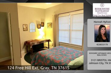 124 Free Hill Ext, Gray, TN 37615