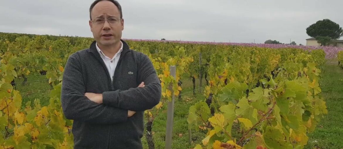 Copel Wines - POMEROL