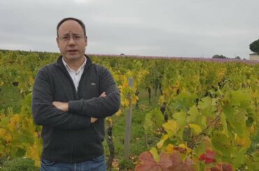 Copel Wines - POMEROL
