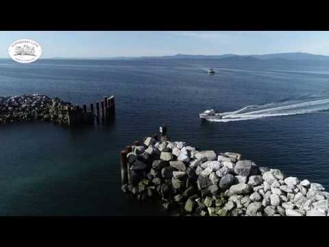 FOR SALE 1 Elderberry Lane FOR SALE 1 Elderberry Lane