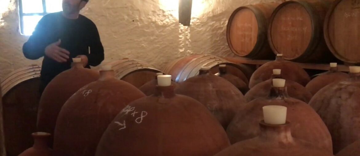 60-SECOND EXCURSION: Learning new organic methods at Vila Voltaire in Cazouls-lès-Béziers, France 60-SECOND EXCURSION: Learning new organic methods at Vila Voltaire in Cazouls-lès-Béziers, France