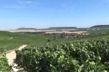 Champagne vineyards, Moussy, Marne, Champagne-Ardenne, France, Europe