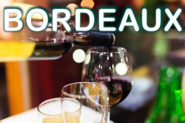 BORDEAUX FRANCE 2019 | What to Do in 1 Day | Travels with Joe & Ely