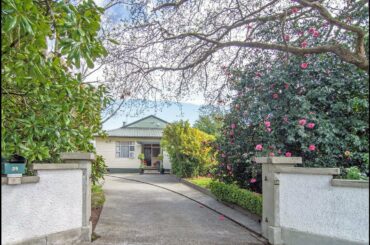 PRIVATE PARADISE ON SUBDIVIDABLE SECTION   38 French Street, Masterton