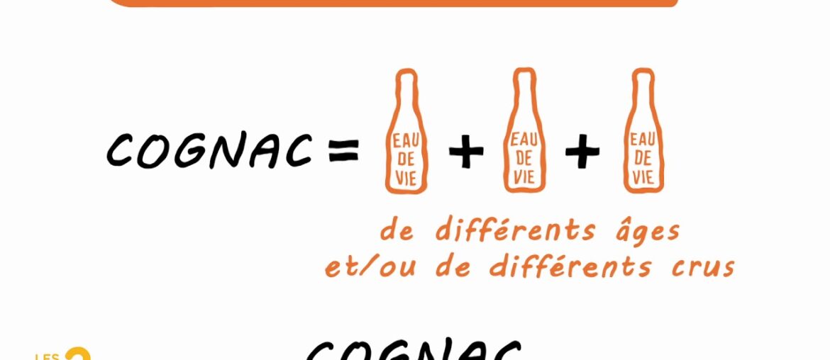 Les ? de Noa #49 : qu'est ce que la fine champagne ? Les ? de Noa #49 : qu'est ce que la fine champagne ?