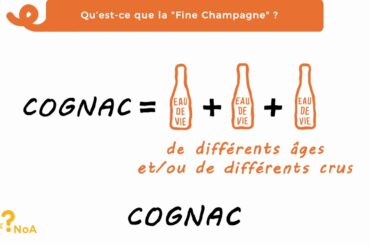 Les ? de Noa #49 : qu'est ce que la fine champagne ?