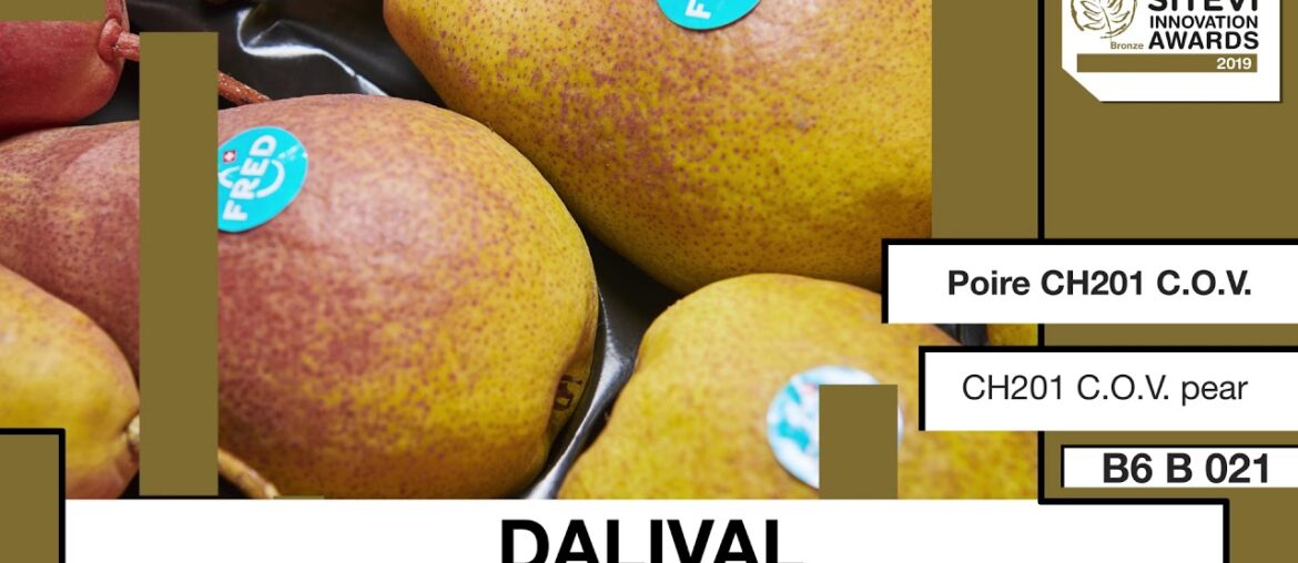 SITEVI Innovation Awards 2019 : Médailles de bronze SITEVI Innovation Awards 2019 : Médailles de bronze