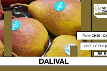 SITEVI Innovation Awards 2019 : Médailles de bronze