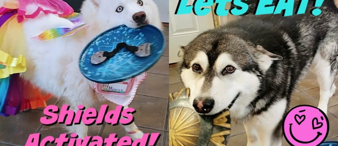 Breakfast With The WaterWolves | Pie | Stuffed French Toast Breakfast With The WaterWolves | Pie | Stuffed French Toast