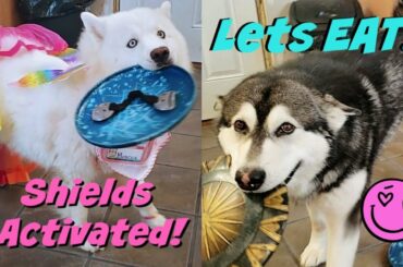 Breakfast With The WaterWolves | Pie | Stuffed French Toast