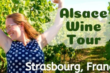 ALSACE WINE TOUR // Day trip from Strasbourg, France (Strasbourg wine tour)