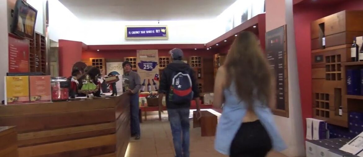 Viu Manent Valle de Colchagua wine tour in Chile