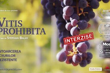 VITIS PROHIBITA - PROMO RO