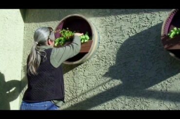 House Crashers - Outdoor Wine Bar Cafe