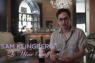 Bordeaux Wine Review: 2011 Benjamin de Vieux Chateau Gaubert, Graves #23