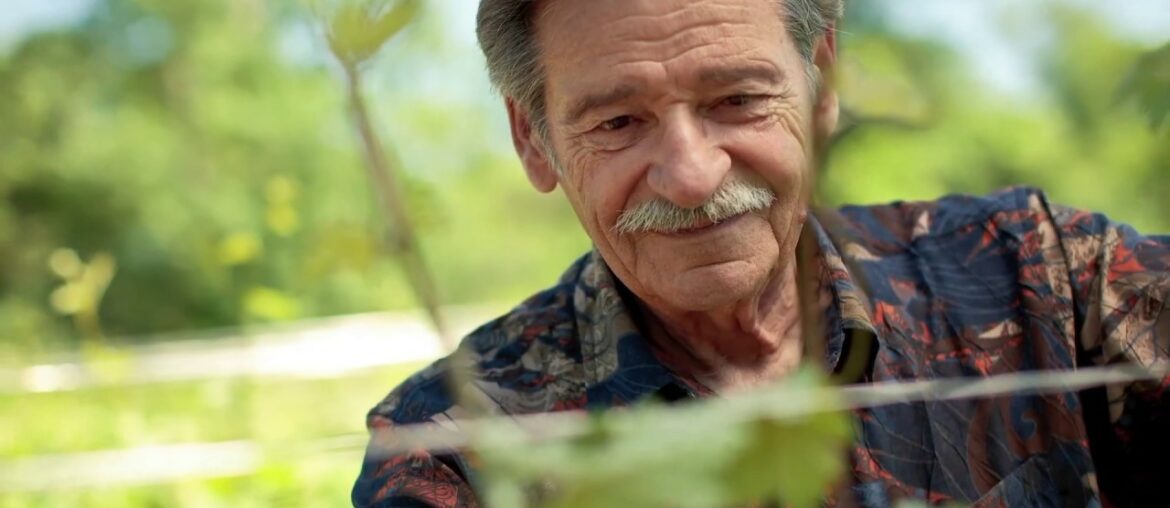 Château des Charmes – Our Story Château des Charmes - Our Story