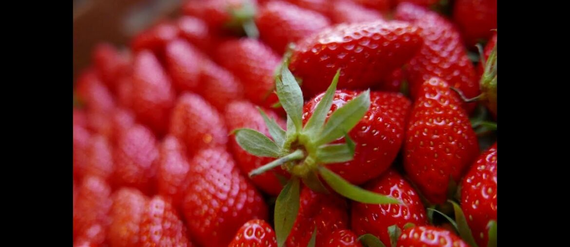 Dining in Paris and Environs / la cuisine parisienne